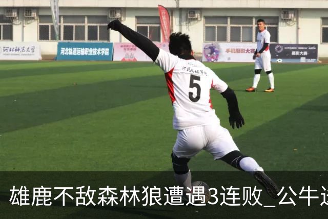雄鹿不敌森林狼遭遇3连败 公牛送灰熊7连败